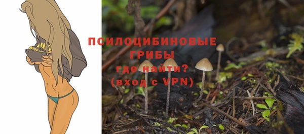 дмт Бугульма