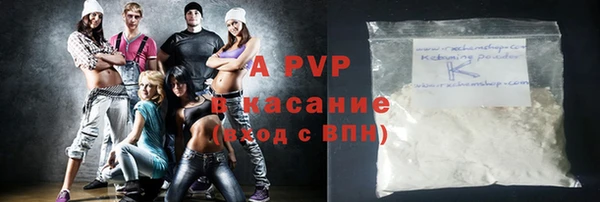 гидра Богородицк