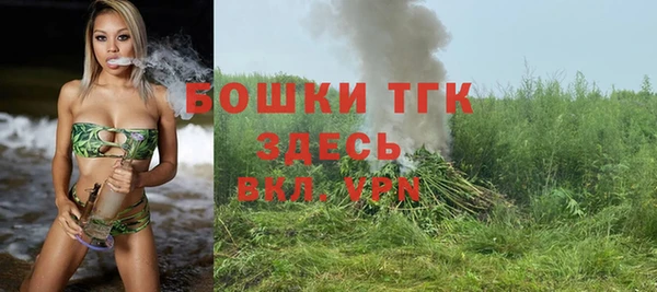 гидра Богородицк